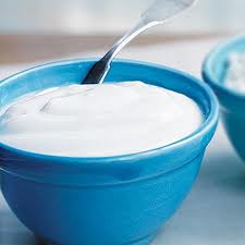 yogurt + the abs diet power foods