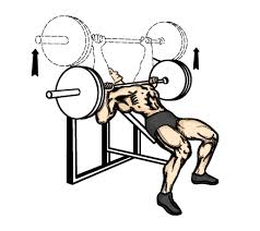 Inclined bench press