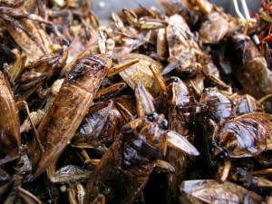 9  Setting a record on the most number of cockroaches eaten
