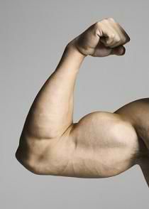 7 Biceps Curls