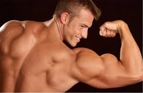 how to get big arms