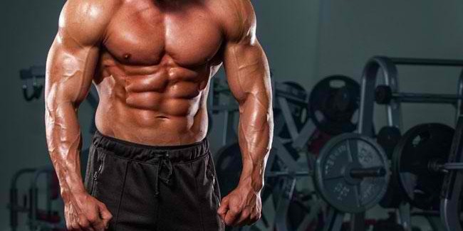 Top 10 Best Test Boosters to Maximize Muscle Growth
