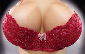 women's breasts